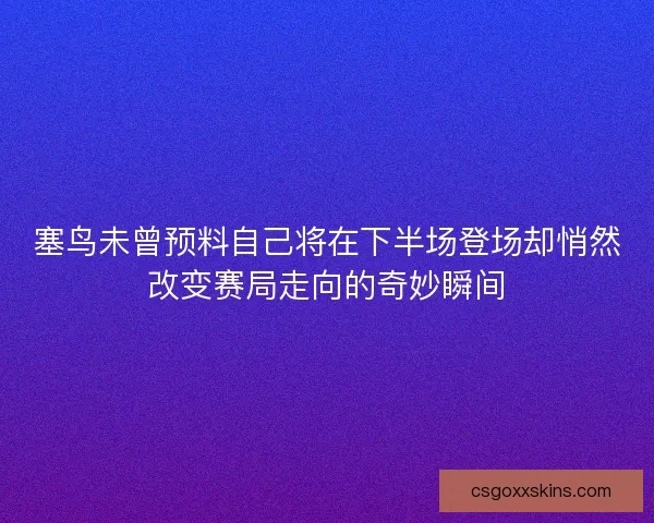 塞鸟未曾预料自己将在下半场登场却悄然改变赛局走向的奇妙瞬间