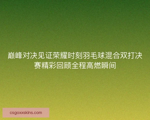 巅峰对决见证荣耀时刻羽毛球混合双打决赛精彩回顾全程高燃瞬间