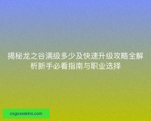 揭秘龙之谷满级多少及快速升级攻略全解析新手必看指南与职业选择