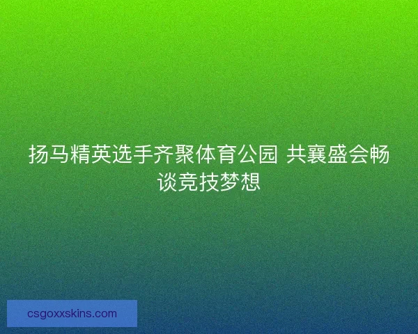 扬马精英选手齐聚体育公园 共襄盛会畅谈竞技梦想