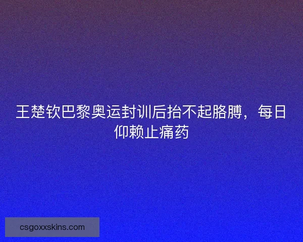 王楚钦巴黎奥运封训后抬不起胳膊,每日仰赖止痛药 王楚钦巴黎奥运封训后抬不起胳膊,每日仰赖止痛药